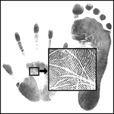 Lav selv detaljeret aftryk af babys hænder og fødder